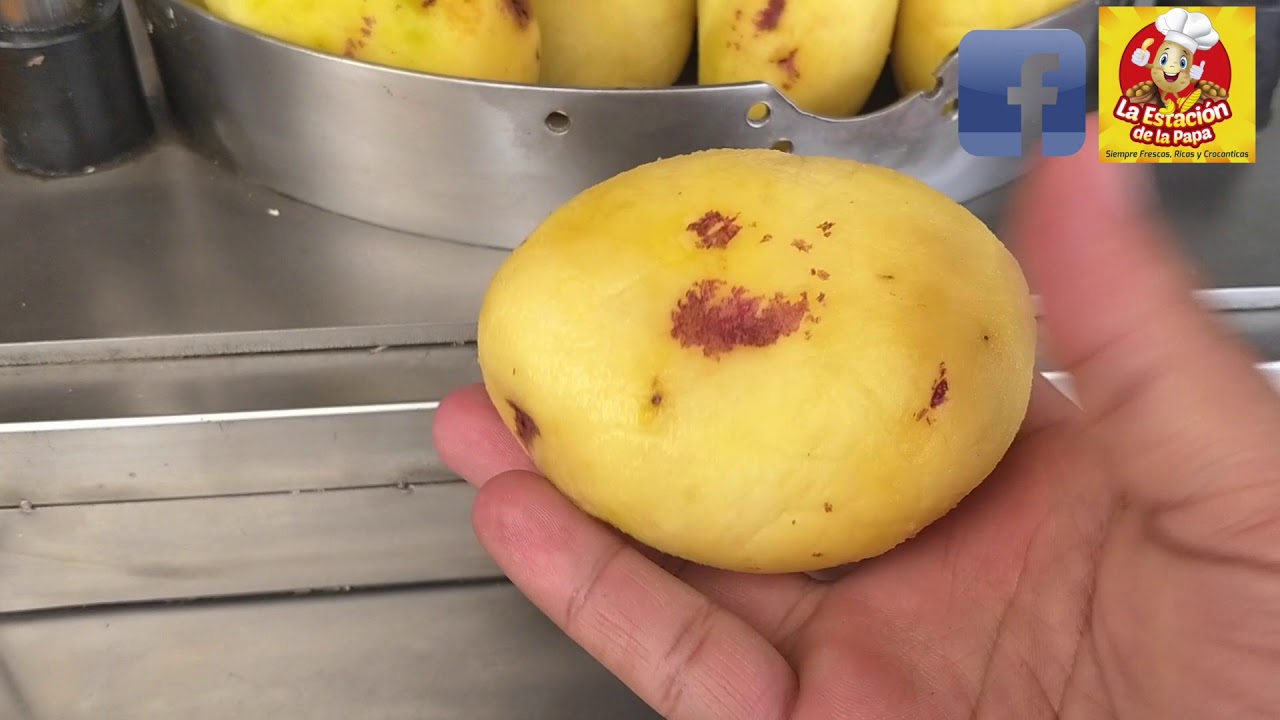 EMPRESA DE FRITURAS NATURALES - Idea completa de negocio LA ESTACION DE LA PAPA