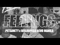 Feelings  petsanity ft nldopeo  evo manila