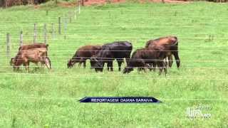UP NOTÍCIAS: POLÍCIA APRESENTA GRUPO SUSPEITO DE ROUBO DE GADO NAS PROPRIEDADES RURAIS DA REGIÃO UP NOTÍCIAS: POLÍCIA APRESENTA GRUPO SUSPEITO DE ROUBO DE GADO NAS PROPRIEDADES RURAIS DA REGIÃO