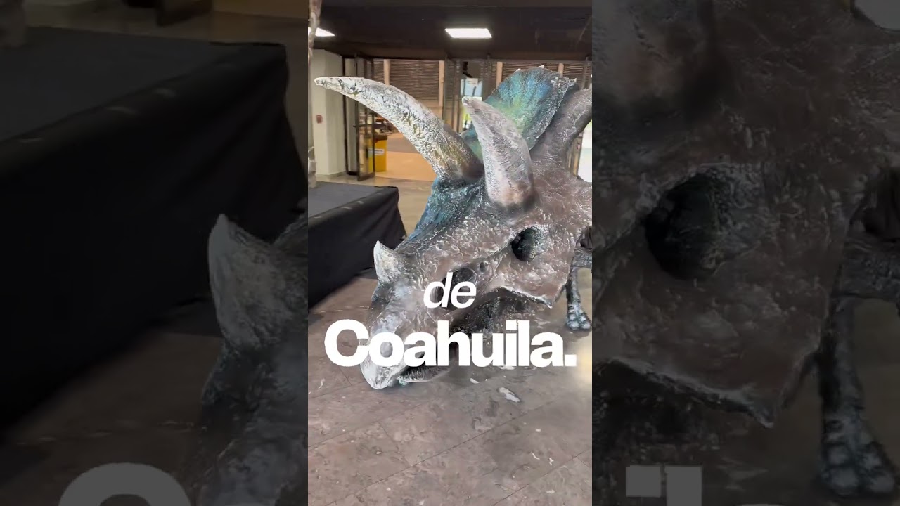 Preparativos para el First Regional Laguna 2026