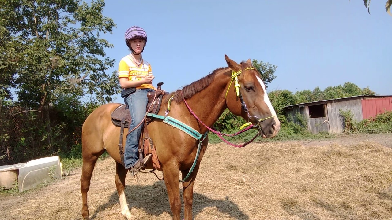 HOW TO PROBABLY USE A WHIP AND SOME SPURS YouTube