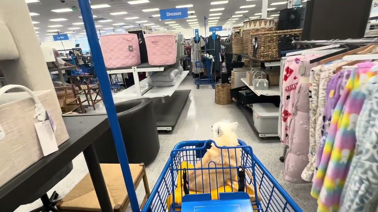 Флорида🌴Люблю такие вторники: Ross, скидки и красивое платье🔴