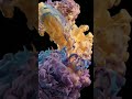 The Most Satisfying Transformation You'll See Today#shortvideo#shorts