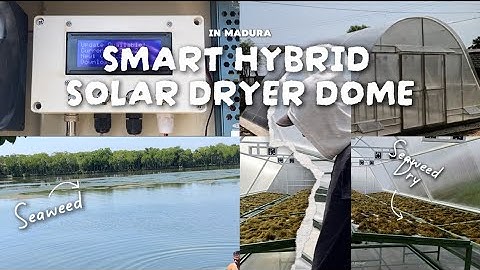 Inovasi Pengeringan Rumput Laut yang Cepat dan Hemat Energi 