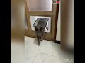 【ガラス部分に設置可能】ネコちゃんにペットドア