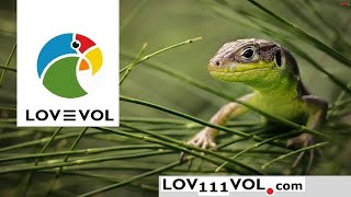 LOVEVOL Calendar: Matrix vs Outlook 2021 | Unleashing the Power of Love in Productivity screenshot 3