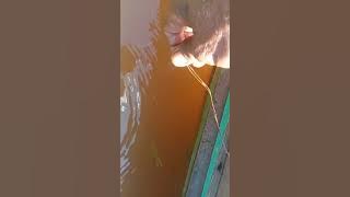 How to install arda on a boat for electric eret