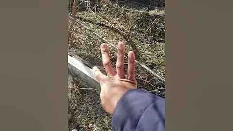 5914 Walnut st, Philadelphia Pa