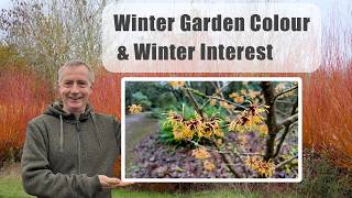 An Introduction To Winter Colour And Winter Interest In Gardens