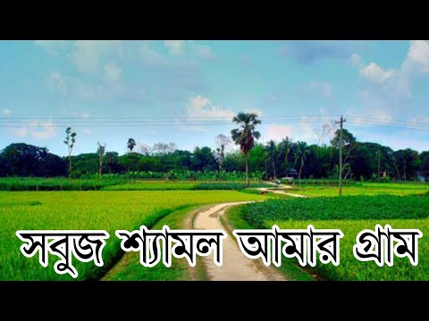 ভিডিও: ল্যান্ডফিলের পরিবর্তে সবুজ গ্রাম