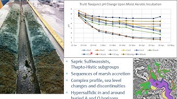 Coastal Zone Soil Survey: A Pedologic Frontier