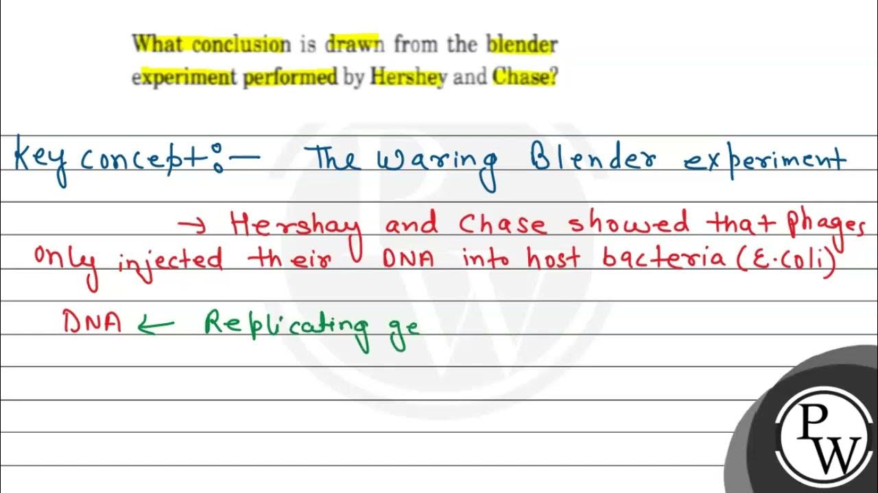What conclusion is drawn from the blender experiment performed by H