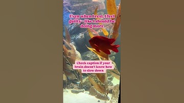 Rest isn’t laziness