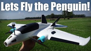 A quick narrated flight with the Penguin.