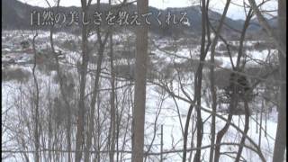 IGRいわて銀河鉄道/青い森鉄道運転席展望Trailer.wmv IGRいわて銀河鉄道/青い森鉄道運転席展望Trailer.wmv
