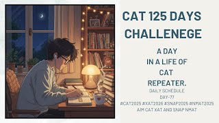 A day in a Life of Cat Repeater.