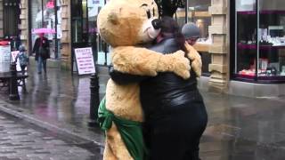 Mr Bear The Lifesize Bad Taste Bear Escapes in Halifax