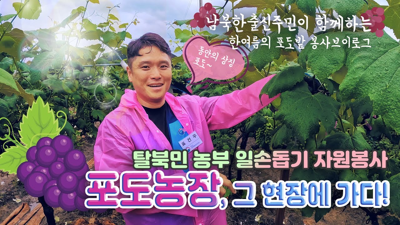 [영상] 2025 남북통합문화센터 자원봉사단 4기, 6월 탈북민 농부 일손돕기 자원봉사