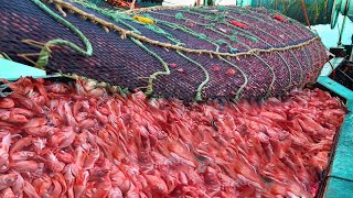 Big Net fishing, Can Capture Thousands Of Tons Of Fish At Sea Once  Fish Factory On the High Sea