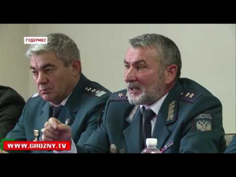 Говорящий Том и Друзья Говорящий Том и Друзья