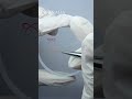 🎀 thì vẽ kiểu này nè