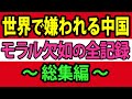 日本だけじゃない！世界で中国嫌いが加速、なぜ中国はモラルがないのか？【総集編】