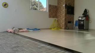 Dançando Sweet Dreans