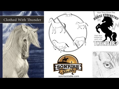 Book 3: Clothed With Thunder