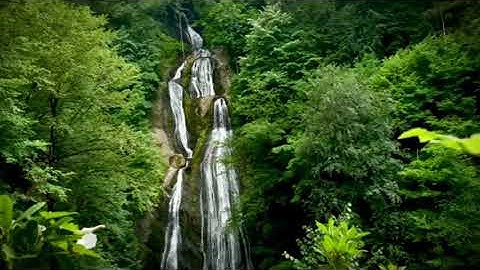 سورة الاعلي بصوت الشيخ ناصر القطامي