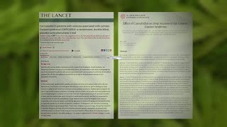 Miracle Drug Or Snake Oil Cbd Gaining Popularity As Medical Treatment