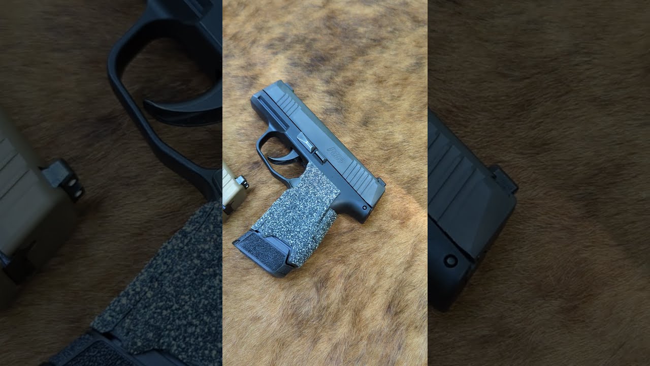 FN Reflex Or SIG P365 