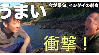 移居無人島防疫的日本男子團體 讓我想起當年 黃金傳說 的濱口優 A Day Magazine