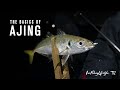 Basics of ajing by isofishinglifestyle