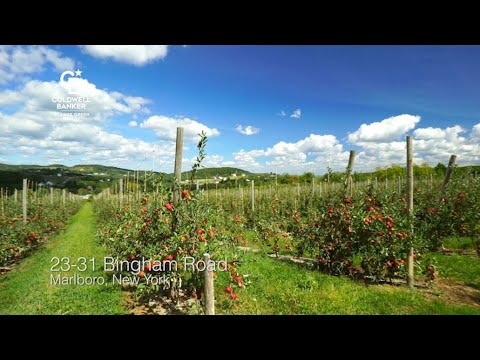 23-31 Bingham Road, Marlboro, NY home video tour