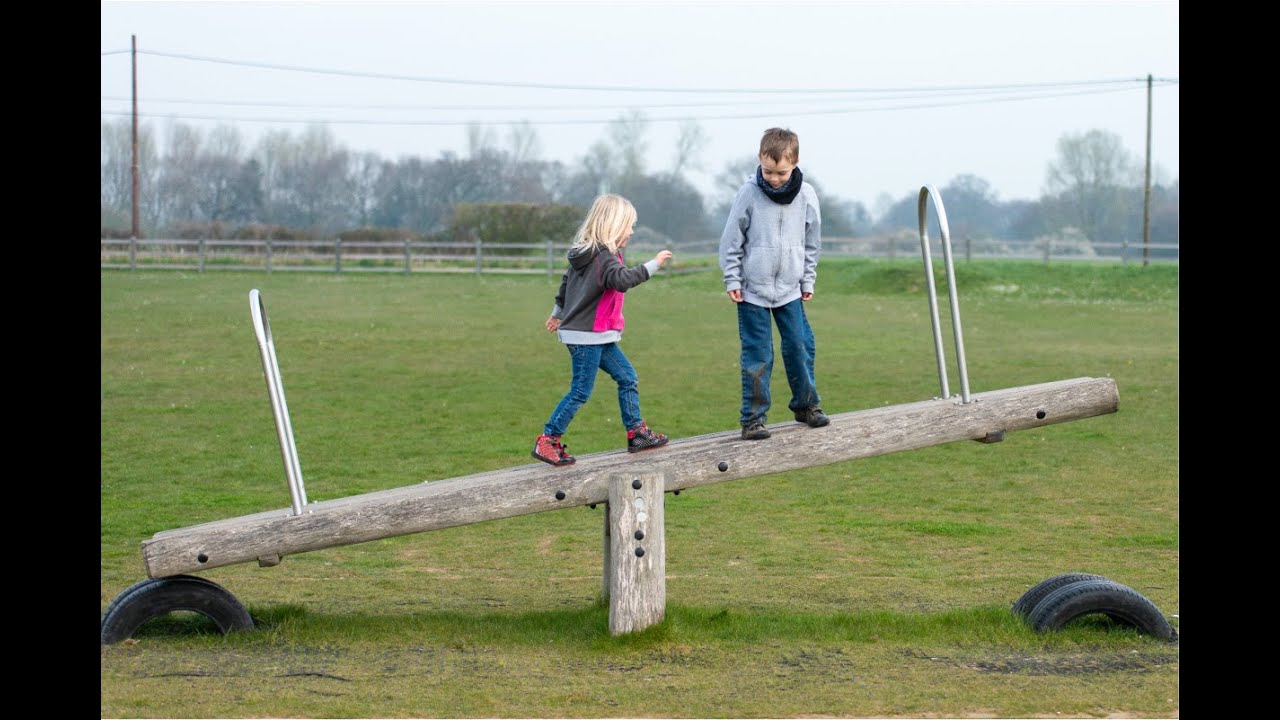 Waldorfish.com Physics Preview