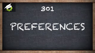 301 - GameMaker: Studio - Preferences