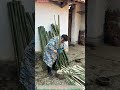 Traditional Bamboo Splitter: Fast, Clean Strips Every Time!