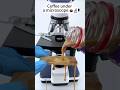 You've NEVER Seen a Coffee Look Like This 😳🔬 #shorts #shockingfacts #microscope #coffee #fun