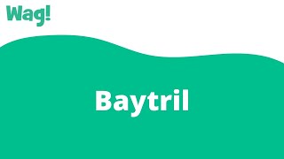 Baytril | Wag! screenshot 2