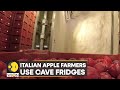 Wion climate tracker  34 caves in north italy being used to store apple harvest