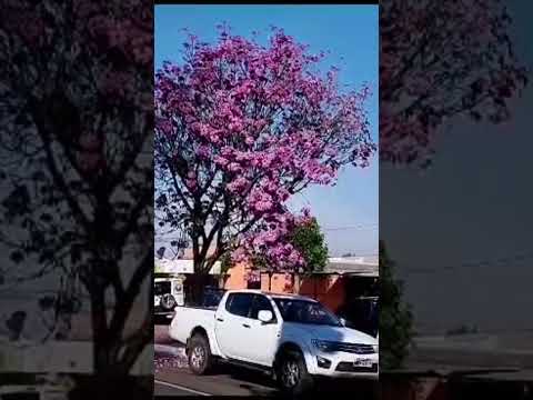 Bom diaaa gente