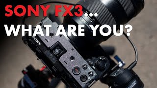Sony FX3: Hey...why?