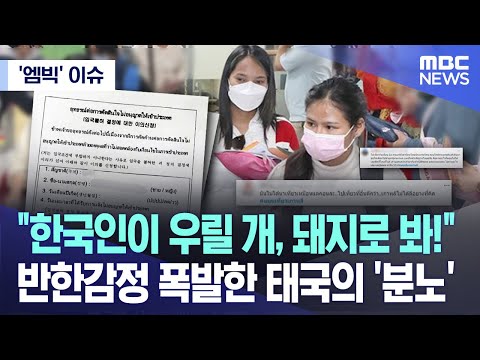 엠빅 이슈 한국인이 우릴 개 돼지로 봐 반한감정 폭발한 태국의 분노 2023 11 02 엠빅뉴스 