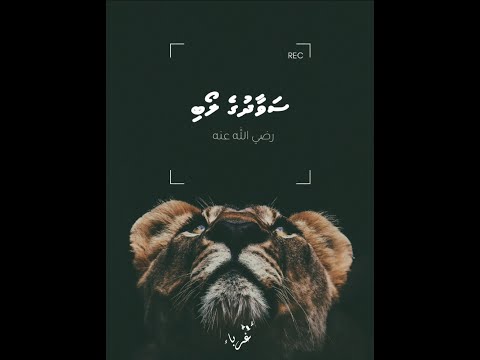 Zuvaan Sahaabee Ehge Vaahaka نشيد المتني بالعود يا خير الورى