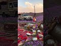 ربيع وكشتة القصيم
