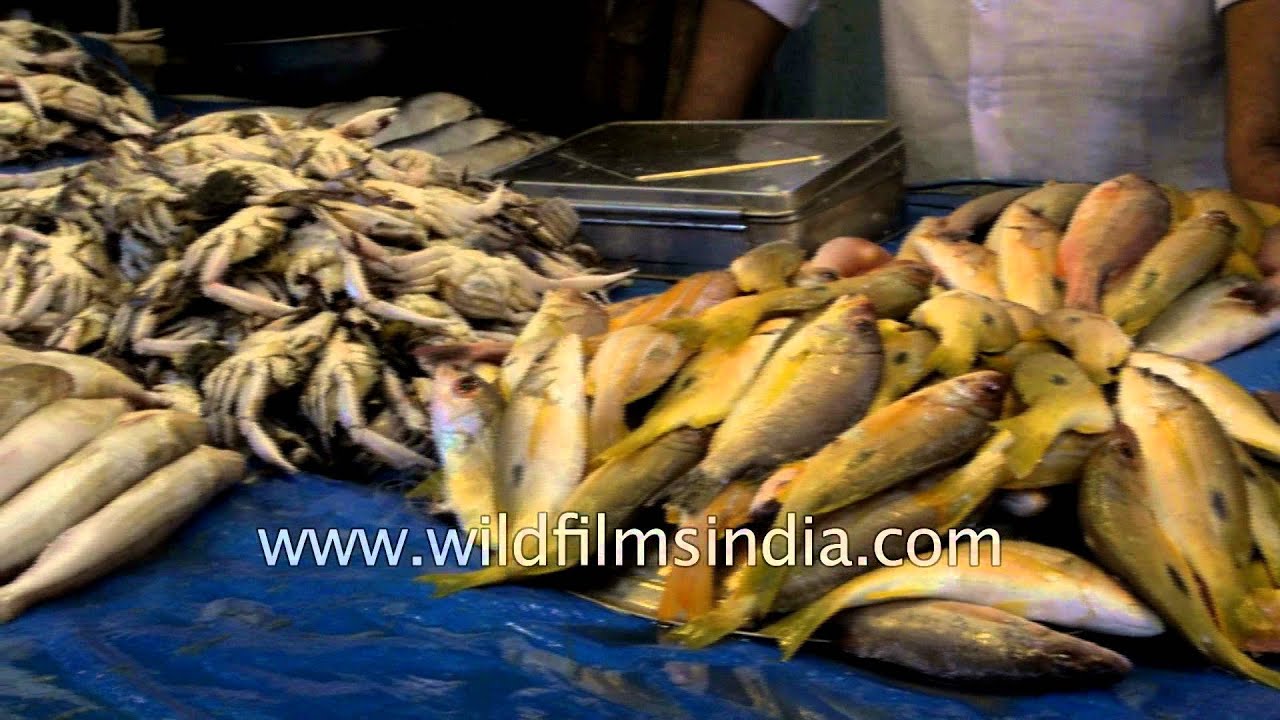 Fish Market in Madurai, Tamil Nadu YouTube