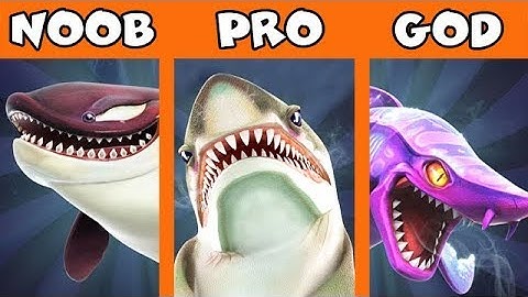 NOOB vs PRO vs GOD!!! (HUNGRY SHARK WORLD)