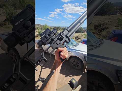 HUGE SLUGS - tiny groups 😁