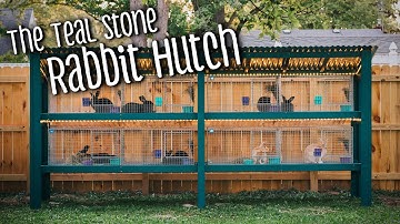 Rabbit hutch remodel/build with KW Cages (silver fox and creme d