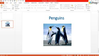 Inserting Objects in Presentation | Electronic Presentation Tool-PowerPoint | Computer | Class 5th